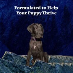 Blue Buffalo Wilderness Turkey & Chicken Grill Grain-Free Puppy Canned Dog Food -Blue Buffalo 75750 PT3. AC SS1800 V1646788894