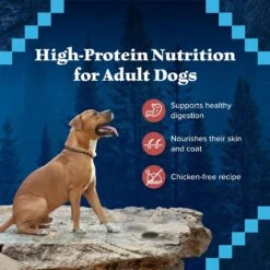 Blue Buffalo Wilderness Rocky Mountain Recipe Red Meat Dinner Adult Grain-Free Canned Dog Food -Blue Buffalo 75753 PT3. AC SS1800 V1646785700