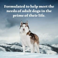 Blue Buffalo Wilderness Wolf Creek Stew Savory Salmon Stew Grain-Free Adult Canned Dog Food -Blue Buffalo 75788 PT3. AC SS1800 V1646789695