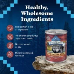 Blue Buffalo Wilderness Wolf Creek Stew Savory Salmon Stew Grain-Free Adult Canned Dog Food -Blue Buffalo 75788 PT5. AC SS1800 V1646787214