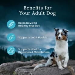 Blue Buffalo Blue Wilderness Premier Blend With Meaty Cuts Chicken Adult Dry Dog Food -Blue Buffalo 761734 PT6. AC SS1800 V1680630197