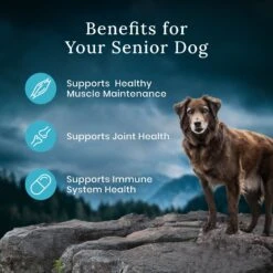 Blue Buffalo Blue Wilderness Premier Blend With Meaty Cuts Chicken Senior Dry Dog Food -Blue Buffalo 761758 PT6. AC SS1800 V1680630716