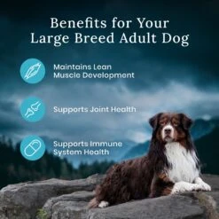 Blue Buffalo Blue Wilderness Premier Blend With Meaty Cuts Chicken Large Breed Adult Dry Dog Food, 24-lb Bag 15 Blue Buffalo Blue Wilderness Premier Blend With Meaty Cuts Chicken Large Breed Adult Dry Dog Food, 24-lb Bag -Blue Buffalo 761774 PT6. AC SS1800 V1680630143