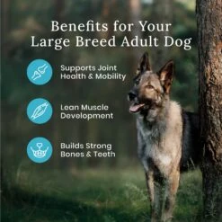 Blue Buffalo Wilderness Rocky Mountain Recipe Large Breed Adult High Protein Natural Red Meat & Grain Dry Dog Food & Blue Buffalo Wilderness Rocky Mountain Recipe Red Meat Dinner Adult Grain-Free Canned Dog Food -Blue Buffalo 796222 PT4. AC SS1800 V1678140338