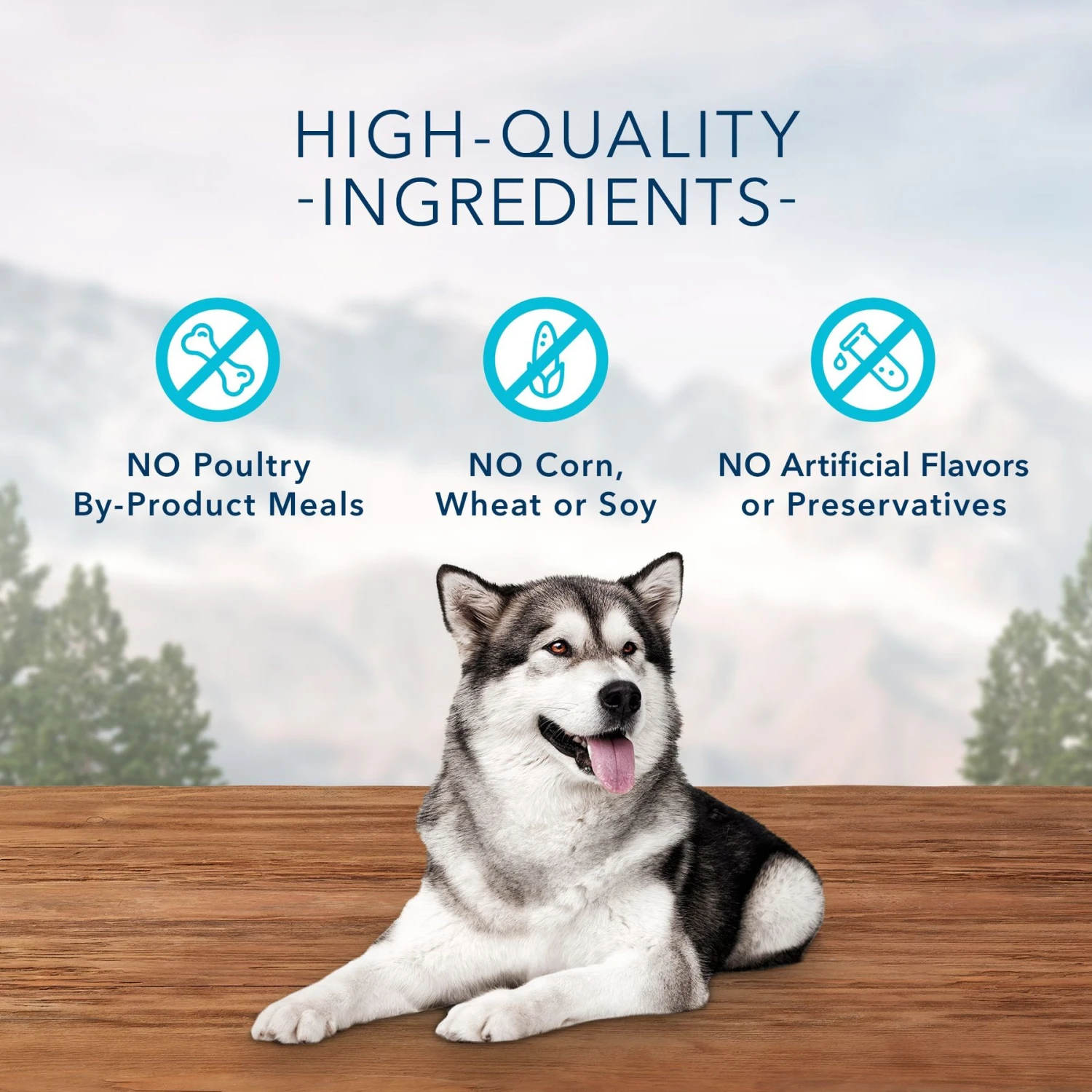 Blue Buffalo Wilderness Healthy Weight Adult High Protein Natural Chicken & Wholesome Grains Dry Dog Food & Blue Buffalo Wilderness Trail Treats Grain-Free Duck Biscuits Dog Treats 9 Blue Buffalo Wilderness Healthy Weight Adult High Protein Natural Chicken & Wholesome Grains Dry Dog Food & Blue Buffalo Wilderness Trail Treats Grain-Free Duck Biscuits Dog Treats - Image 9