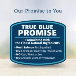 Blue Buffalo Basics LID Skin & Stomach Care Grain-Free Salmon In Gravy Adult Wet Dog Food Topper, 2.5-oz Pouch, Case Of 12 -Blue Buffalo 821030 PT5. AC SS1800 V1680285642