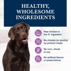 Blue Buffalo Natural Veterinary Diet W+U Weight Management + Urinary Care Dry Dog Food -Blue Buffalo 822262 PT5. AC SS1800 V1695494754