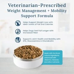 Blue Buffalo Natural Veterinary Diet W+M Weight Management + Mobility Support Dry Dog Food -Blue Buffalo 823670 PT2. AC SS1800 V1695416451