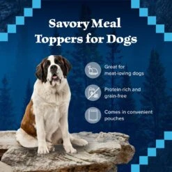 Blue Buffalo Wilderness Trail Toppers Wild Cuts Chunky Chicken Bites In Hearty Gravy Grain-Free Dog Food Topper 10 Blue Buffalo Wilderness Trail Toppers Wild Cuts Chunky Chicken Bites In Hearty Gravy Grain-Free Dog Food Topper -Blue Buffalo 84132 PT3. AC SS1800 V1646795486