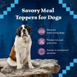 Blue Buffalo Wilderness Trail Toppers Wild Cuts Chunky Beef Bites In Hearty Gravy Grain-Free Dog Food Topper -Blue Buffalo 84136 PT3. AC SS1800 V1646777792