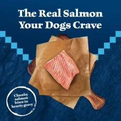 Blue Buffalo Wilderness Trail Toppers Wild Cuts Chunky Salmon Bites In Hearty Gravy Grain-Free Dog Food Topper 9 Blue Buffalo Wilderness Trail Toppers Wild Cuts Chunky Salmon Bites In Hearty Gravy Grain-Free Dog Food Topper -Blue Buffalo 84138 PT2. AC SS1800 V1646795191