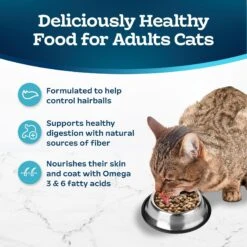 Blue Buffalo Indoor Hairball & Weight Control Chicken & Brown Rice Recipe Adult Dry Cat Food -Blue Buffalo 84167 PT3. AC SS1800 V1668762205