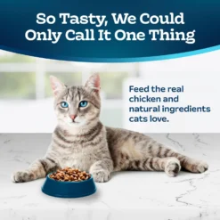 Blue Buffalo Tastefuls Hairball Control Natural Chicken & Brown Rice Recipe Adult 7+ Dry Cat Food 11 Blue Buffalo Tastefuls Hairball Control Natural Chicken & Brown Rice Recipe Adult 7+ Dry Cat Food -Blue Buffalo 84170 PT2. AC SS1800 V1692642814