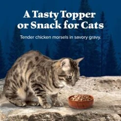 Blue Buffalo Wilderness Tasty Toppers Wild Cuts Tasty Chicken Morsels In Savory Gravy Grain-Free Cat Food Topper -Blue Buffalo 84183 PT3. AC SS1800 V1646796387