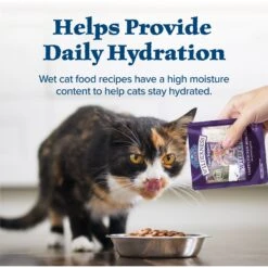 Blue Buffalo Wilderness Tasty Toppers Wild Cuts Tasty Chicken Morsels In Savory Gravy Grain-Free Cat Food Topper -Blue Buffalo 84183 PT6. AC SS1800 V1646790690