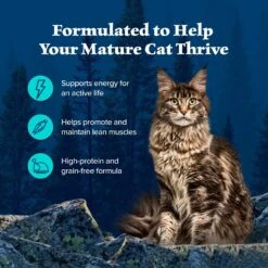 Blue Buffalo Wilderness Wild Delights Minced Chicken & Trout In Tasty Gravy Grain-Free Canned Cat Food -Blue Buffalo 84200 PT3. AC SS1800 V1646791583