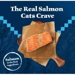 Blue Buffalo Wilderness Salmon Recipe Grain-Free Dry Cat Food 9 Blue Buffalo Wilderness Salmon Recipe Grain-Free Dry Cat Food -Blue Buffalo 84281 PT2. AC SS1800 V1689282790