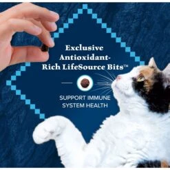 Blue Buffalo Wilderness Salmon Recipe Grain-Free Dry Cat Food 13 Blue Buffalo Wilderness Salmon Recipe Grain-Free Dry Cat Food -Blue Buffalo 84281 PT6. AC SS1800 V1689357650