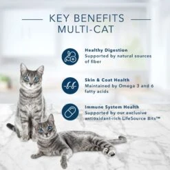 Blue Buffalo Tastefuls Multi Cat Natural Chicken & Turkey Adult Dry Cat Food -Blue Buffalo 84982 PT4. AC SS1800 V1692646637