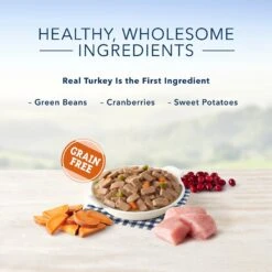 Blue Buffalo Family Favorite Grain-Free Recipes Turkey Day Feast Canned Dog Food 10 Blue Buffalo Family Favorite Grain-Free Recipes Turkey Day Feast Canned Dog Food -Blue Buffalo 85001 PT3. AC SS1800 V1572895722