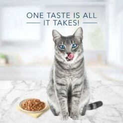 Blue Buffalo Tastefuls Natural Flaked Fish & Shrimp Entree In Gravy Wet Cat Food, 5.5-oz Can, Case Of 12 11 Blue Buffalo Tastefuls Natural Flaked Fish & Shrimp Entree In Gravy Wet Cat Food, 5.5-oz Can, Case Of 12 -Blue Buffalo 879262 PT3. AC SS1800 V1687358671