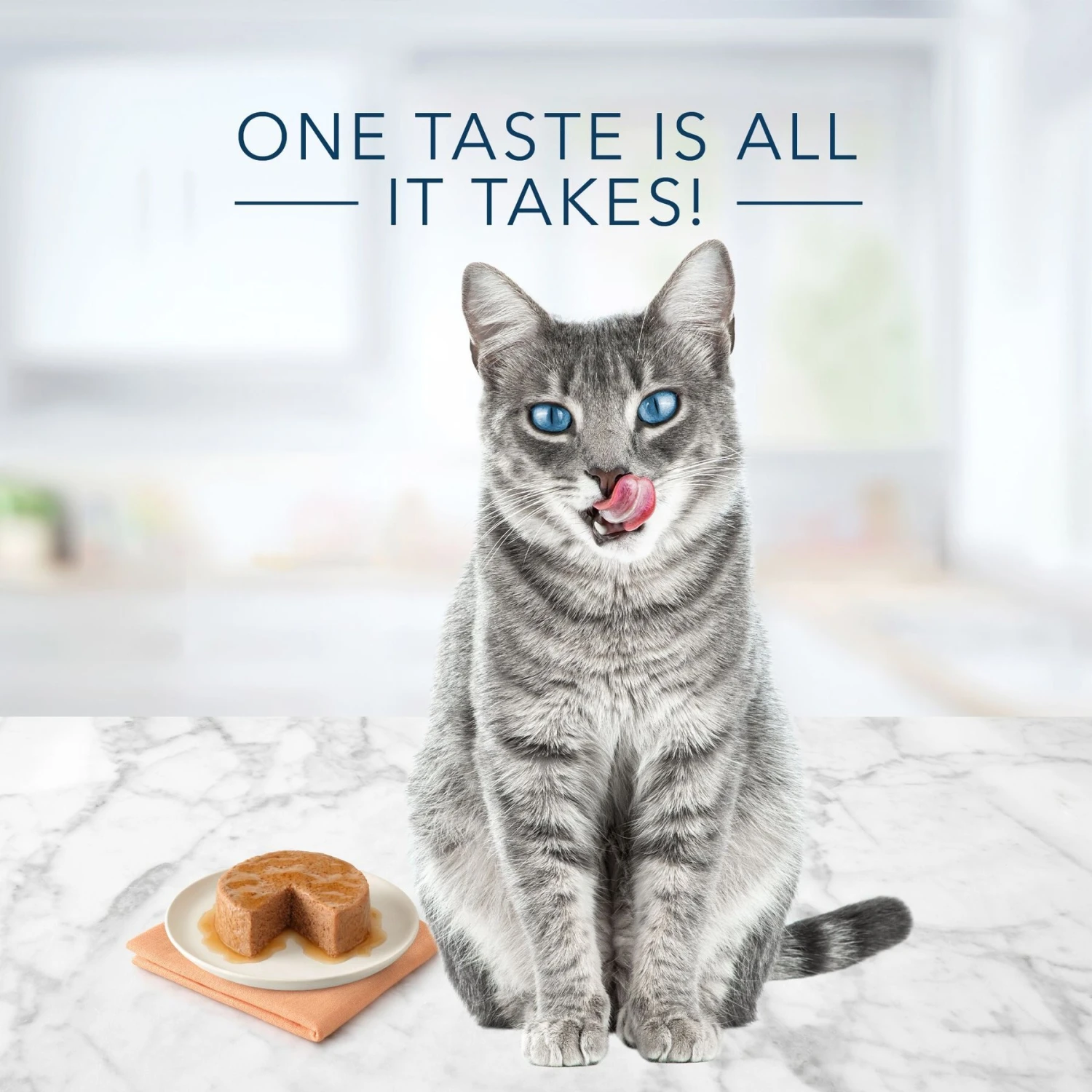 Blue Buffalo Tastefuls Natural Pate Turkey & Chicken Entree Wet Cat Food, 3-oz Can, Case Of 12 4 Blue Buffalo Tastefuls Natural Pate Turkey & Chicken Entree Wet Cat Food, 3-oz Can, Case Of 12 - Image 4