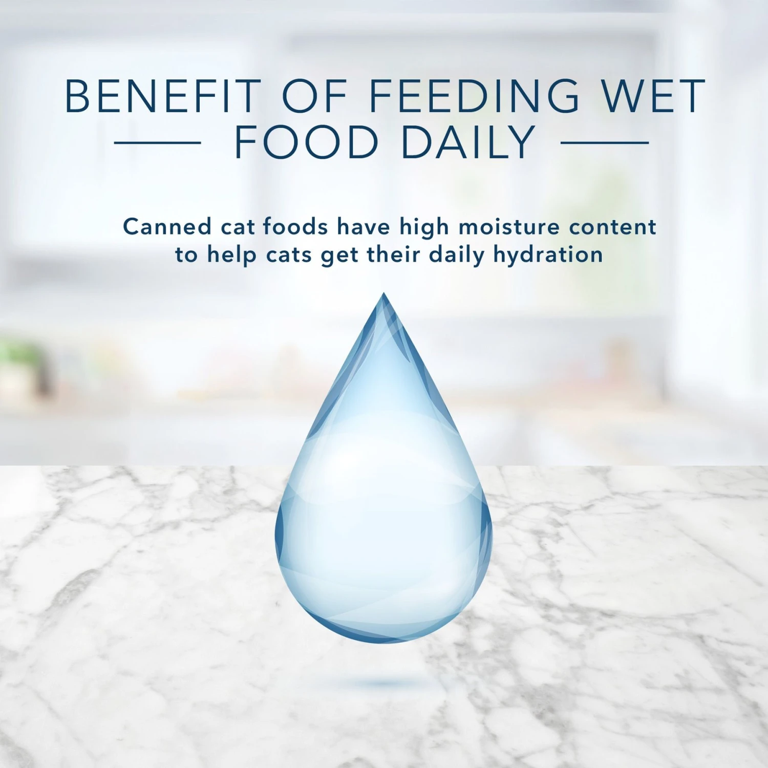 Blue Buffalo Tastefuls Natural Tender Morsels Chicken Entree Wet Cat Food, 3-oz Can, Case Of 12 7 Blue Buffalo Tastefuls Natural Tender Morsels Chicken Entree Wet Cat Food, 3-oz Can, Case Of 12 - Image 7