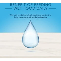 Blue Buffalo True Solutions Fab Feline Natural Indoor Adult Chicken Entree Wet Cat Food, 3-oz Can, Case Of 12 -Blue Buffalo 879470 PT6. AC SS1800 V1687357626