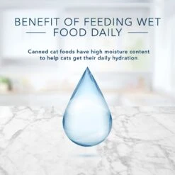 Blue Buffalo Tastefuls Natural Kitten Pate Chicken Entree Wet Cat Food Multi-Pack, 3-oz Can, Case Of 6 -Blue Buffalo 879486 PT5. AC SS1800 V1694720287