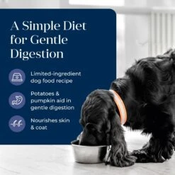 Blue Buffalo Basics Skin & Stomach Care Grain-Free Duck & Potato Adult Canned Dog Food -Blue Buffalo 88176 PT2. AC SS1800 V1646256422
