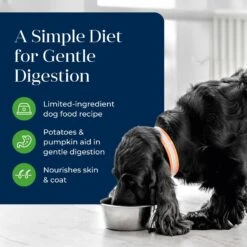 Blue Buffalo Basics Skin & Stomach Care Grain-Free Lamb & Potato Adult Canned Dog Food -Blue Buffalo 88190 PT2. AC SS1800 V1646279182