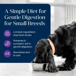 Blue Buffalo Basics Skin & Stomach Care Grain-Free Turkey & Potato Small Breed Adult Wet Dog Food 11 Blue Buffalo Basics Skin & Stomach Care Grain-Free Turkey & Potato Small Breed Adult Wet Dog Food -Blue Buffalo 88199 PT2. AC SS1800 V1646253728
