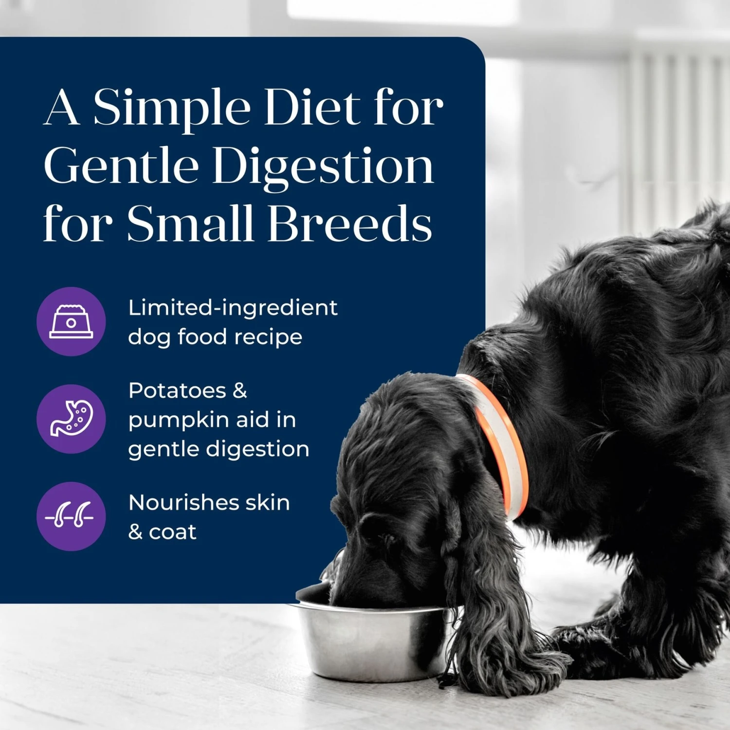 Blue Buffalo Basics Skin & Stomach Care Grain-Free Turkey & Potato Small Breed Adult Wet Dog Food 3 Blue Buffalo Basics Skin & Stomach Care Grain-Free Turkey & Potato Small Breed Adult Wet Dog Food - Image 3