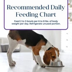 Blue Buffalo Basics Skin & Stomach Care Grain-Free Turkey & Potato Small Breed Adult Wet Dog Food 17 Blue Buffalo Basics Skin & Stomach Care Grain-Free Turkey & Potato Small Breed Adult Wet Dog Food -Blue Buffalo 88199 PT8. AC SS1800 V1646256096