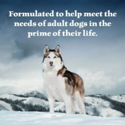 Blue Buffalo Wilderness Denali Dinner With Wild Salmon, Venison & Halibut Grain-Free Canned Dog Food -Blue Buffalo 95954 PT3. AC SS1800 V1604366803