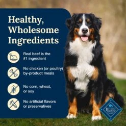 Blue Buffalo Delectables Beef Dinner Natural Wet Dog Food, 3-oz Pouch, Case Of 24 13 Blue Buffalo Delectables Beef Dinner Natural Wet Dog Food, 3-oz Pouch, Case Of 24 -Blue Buffalo 992790 PT5. AC SS1800 V1699023084