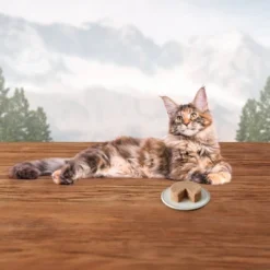 Blue Buffalo Wilderness High Protein, Natural Adult Pate Wet Cat Food Variety Pack With Chicken, Salmon, Duck Flavor - 3oz/12ct -Blue Buffalo GUEST 0a06a0d7 1a9e 46be a792 a8115d6462f8