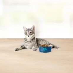 Blue Buffalo Basics Skin & Stomach Care Grain Free Natural Indoor With Fish & Potato Adult Dry Cat Food - 11lbs 12 Blue Buffalo Basics Skin & Stomach Care Grain Free Natural Indoor With Fish & Potato Adult Dry Cat Food - 11lbs -Blue Buffalo GUEST 0d503303 8d54 427c a795 8d50539188b4