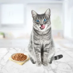 Blue Buffalo Tasteful Tuna, Chicken, Fish And Shrimp Flaked Variety Pack Wet Cat Food - 5.5oz/24ct 7 Blue Buffalo Tasteful Tuna, Chicken, Fish And Shrimp Flaked Variety Pack Wet Cat Food - 5.5oz/24ct -Blue Buffalo GUEST 17c8d64b d826 440f 9e96 ba336701a1f8