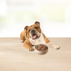 Blue Buffalo Basics Basics Skin & Stomach Care Grain Free Natural Wet Dog Food Lamb & Potato Recipe Adult - 12.5oz/12ct Pack -Blue Buffalo GUEST 32cfe275 2b4d 4a84 bdcb 3fafc0e5e97b