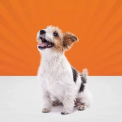 Blue Buffalo Sizzlers Natural Bacon-Style Soft-Moist Dog Treats Original Pork -Blue Buffalo GUEST 36384684 86fb 43a8 bf96 aab7c15364db