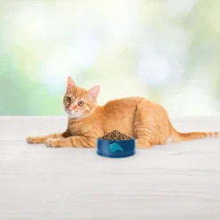 Blue Buffalo Freedom Grain Free Indoor With Chicken, Peas & Potatoes Adult Premium Dry Cat Food 13 Blue Buffalo Freedom Grain Free Indoor With Chicken, Peas & Potatoes Adult Premium Dry Cat Food -Blue Buffalo GUEST 3d61c6a6 6690 4108 8abc 5f36f4d16d2a