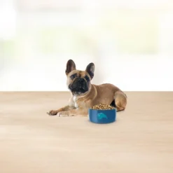 Blue Buffalo Basics Limited Ingredient Diet Turkey & Potato Recipe Small Breed Dry Dog Food -Blue Buffalo GUEST 4efb49b7 5930 4916 87b5 812a8a463e71 1