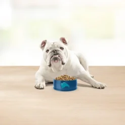 Blue Buffalo Basics Skin & Stomach Care Natural Senior Dry Dog Food With Turkey & Potato Recipe - 4lbs -Blue Buffalo GUEST 5323b2d3 354f 4a09 8324 0fd0cf62db3d