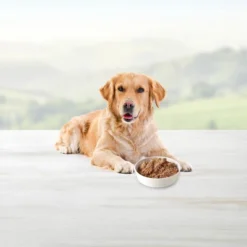 Blue Buffalo Wild Beef, Chicken And Salmon Grill Variety Pack Dry Dog Food - 12.5oz/6ct 6 Blue Buffalo Wild Beef, Chicken And Salmon Grill Variety Pack Dry Dog Food - 12.5oz/6ct -Blue Buffalo GUEST 5773f01b c774 46c0 b0c8 a37179546032 1