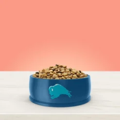 Blue Buffalo True Solutions Fit And Healthy Weight Control Chicken Flavor Adult Dry Dog Food -Blue Buffalo GUEST 5bf794a2 24a6 456a 8e9a 74127aa32ebb