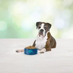 Blue Buffalo Freedom Grain Free With Chicken, Potatoes & Peas Senior Dry Dog Food - 11lbs -Blue Buffalo GUEST 61956bdd e5bb 436d 966f 14690653eb5f