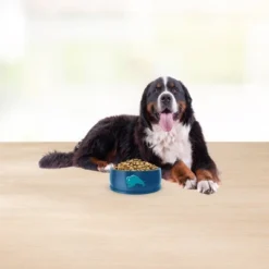 Blue Buffalo Basics Skin & Stomach Care, Grain Free Natural Lamb & Potato Recipe Large Breed Dry Dog Food - 22lbs 12 Blue Buffalo Basics Skin & Stomach Care, Grain Free Natural Lamb & Potato Recipe Large Breed Dry Dog Food - 22lbs -Blue Buffalo GUEST 695dee6e aa44 44b6 82fa ae381fb632aa