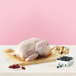 Blue Buffalo True Solutions Blissful Belly With Chicken Digestive Care Adult Dry Cat Food - 11lb -Blue Buffalo GUEST 7dada19a 228c 41d7 96a3 2ec659b90573