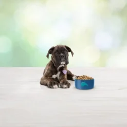 Blue Buffalo Freedom Grain Free With Chicken, Peas & Potatoes Puppy Dry Dog Food - 11lbs -Blue Buffalo GUEST 8757146a 789c 4c33 9808 a17db9fe8a4d